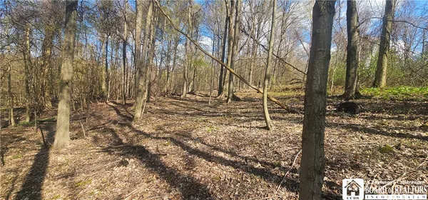 $30,000 | 6110 Welch Hill Road, Ripley, NY 14775