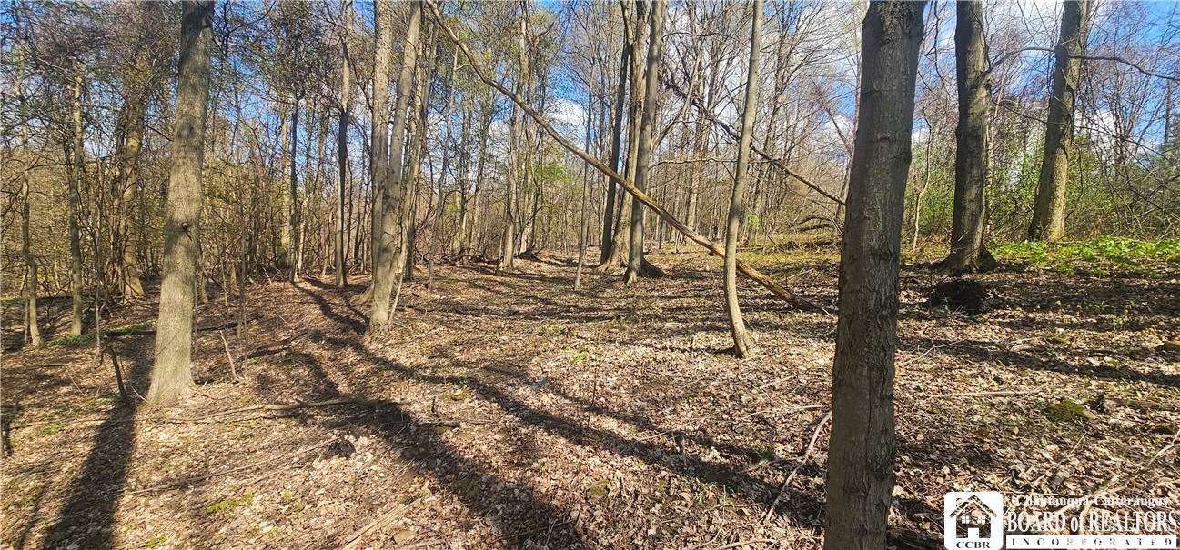 6110 Welch Hill Road Ripley, NY 14775 - Photo 12 of 14