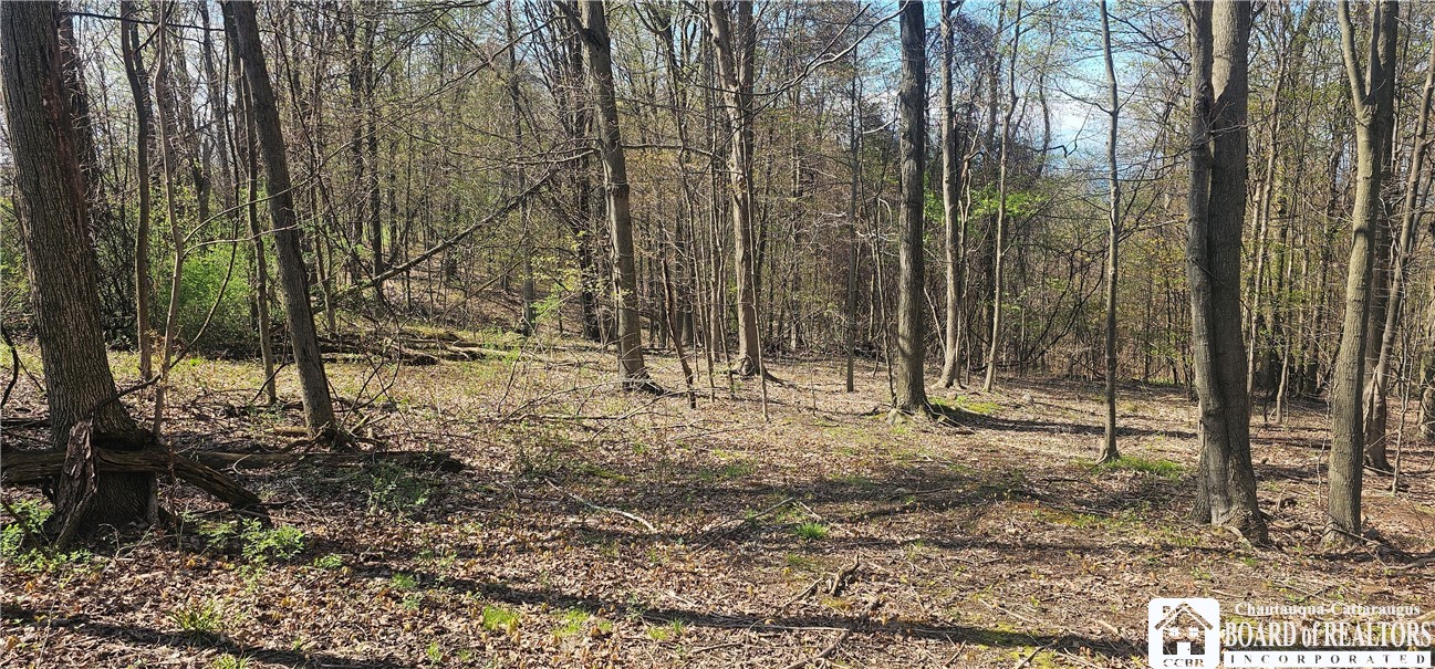 6110 Welch Hill Road Ripley, NY 14775 - Photo 13 of 14