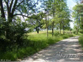 197 Branch Road Harrisville, WV 26362 - Photo 10 of 12