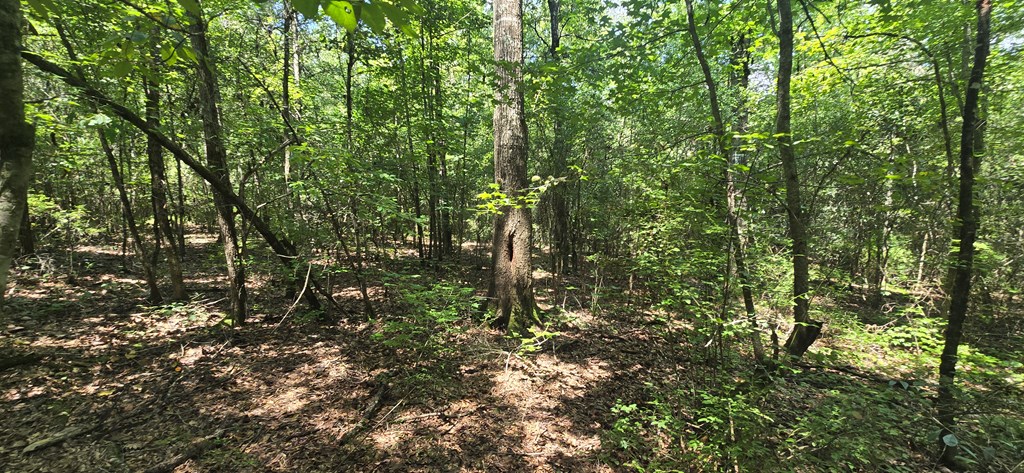4739 Wallace Buie Road Columbia, AL 36319 - Photo 20 of 54
