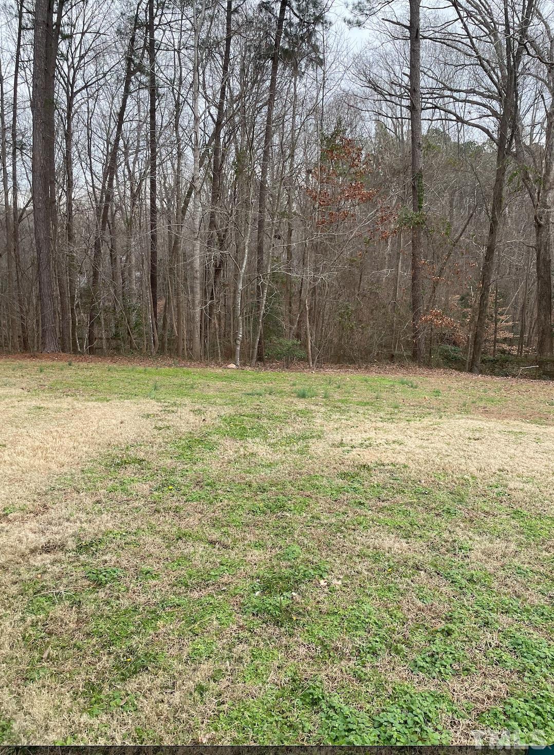 7101 Denlee Road Raleigh, NC 27603 - Photo 14 of 32 a view of a yard with a trees