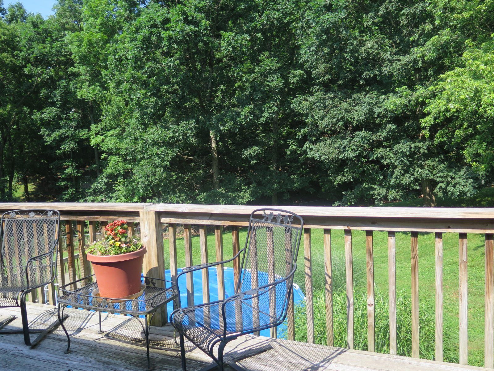 43 Oak Crest Drive Blue Ridge, VA 24064 - Photo 44 of 49 Private Back