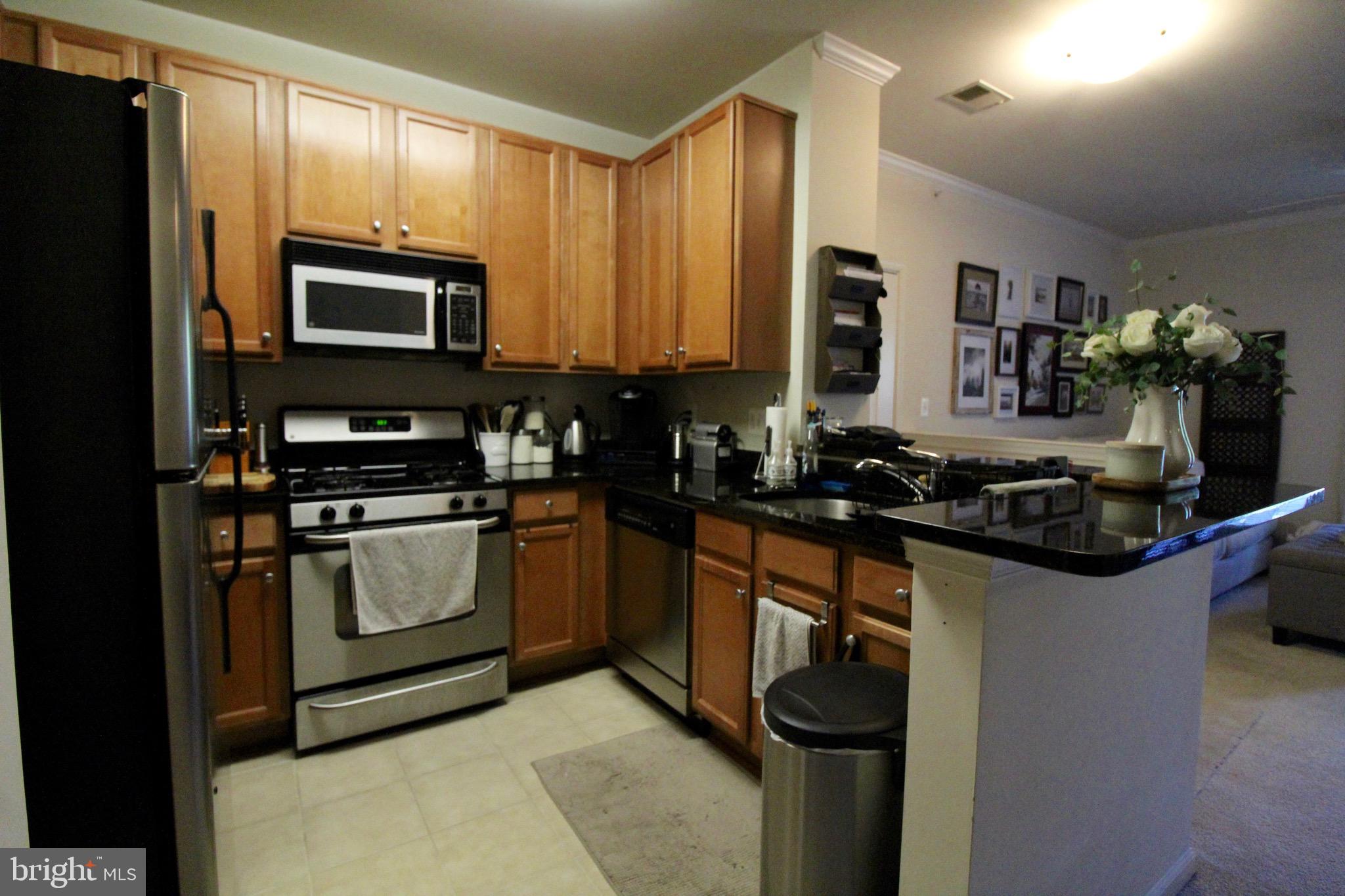 1505 North Point Drive, Unit 301 Reston, VA 20194 - Photo 9 of 14 Gallery Image 9