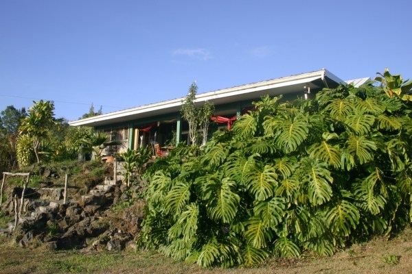 82-1140 Greenwell Mountain Road Captain Cook, HI 96704 - Photo 14 of 17 Gallery Image 14