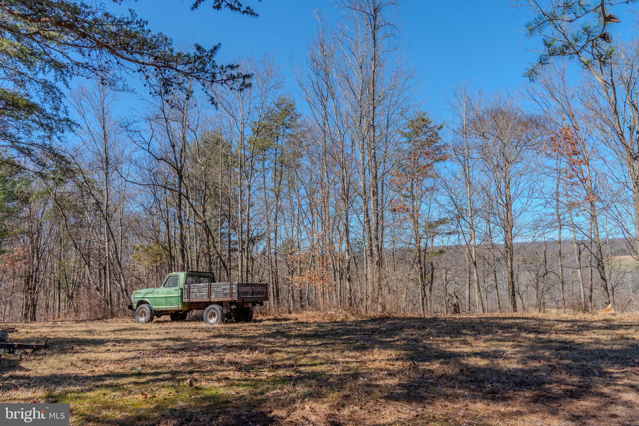651 Robinson Road Newport, PA 17074 - Photo 69 of 87 a view of a backyard with large trees