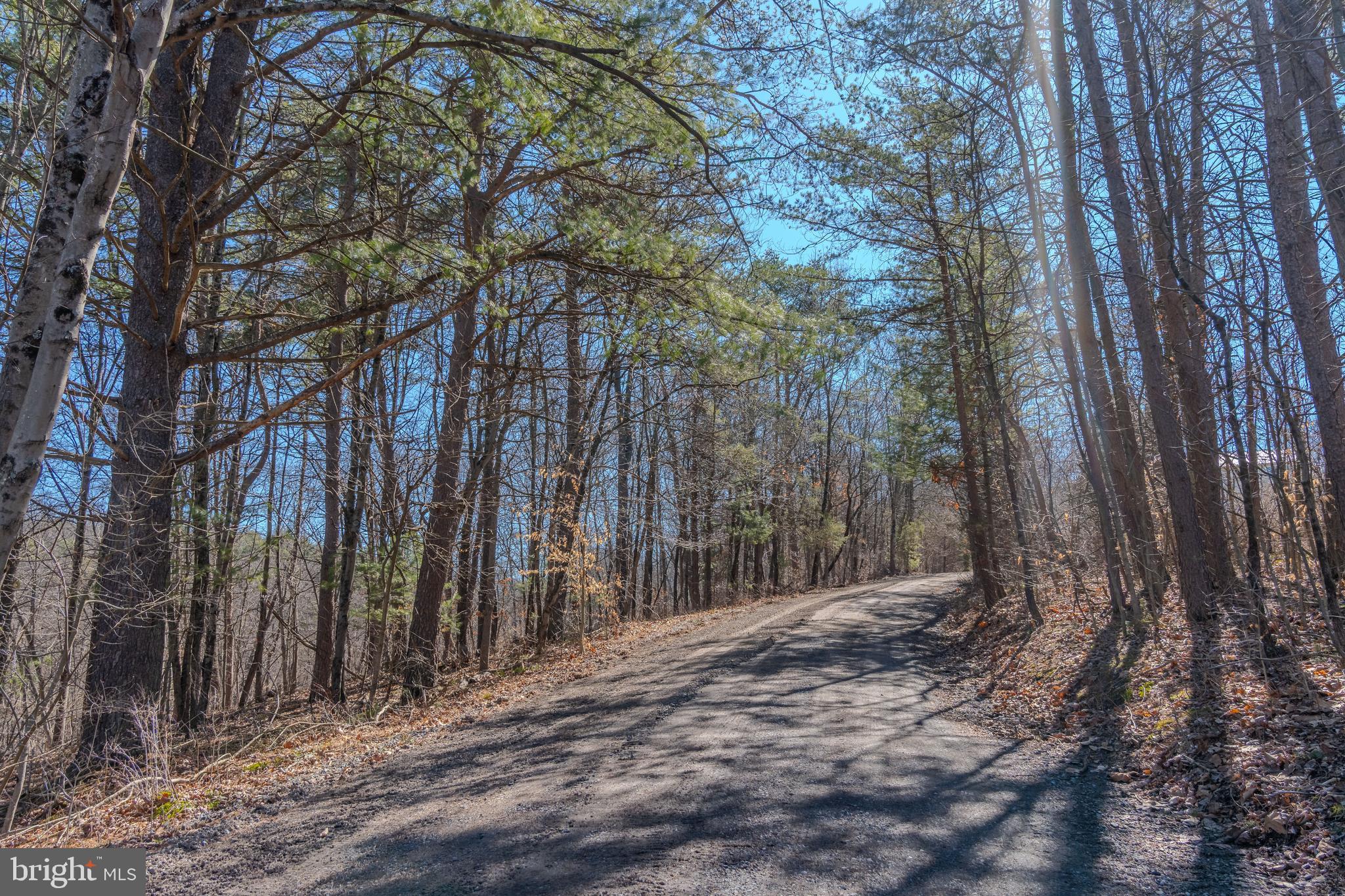 651 Robinson Road Newport, PA 17074 - Photo 70 of 87 a backyard of a house with lots of trees