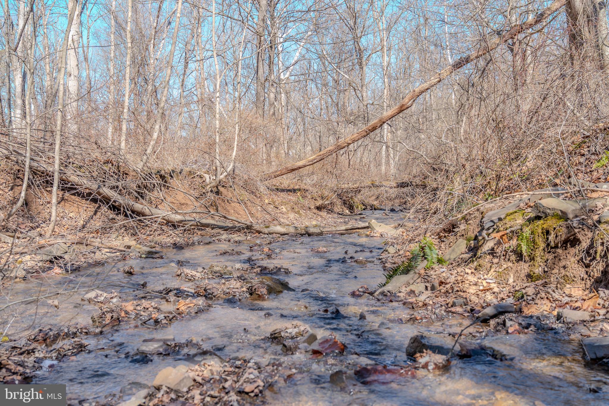 651 Robinson Road Newport, PA 17074 - Photo 75 of 87 a view of a dry yard with lots of trees