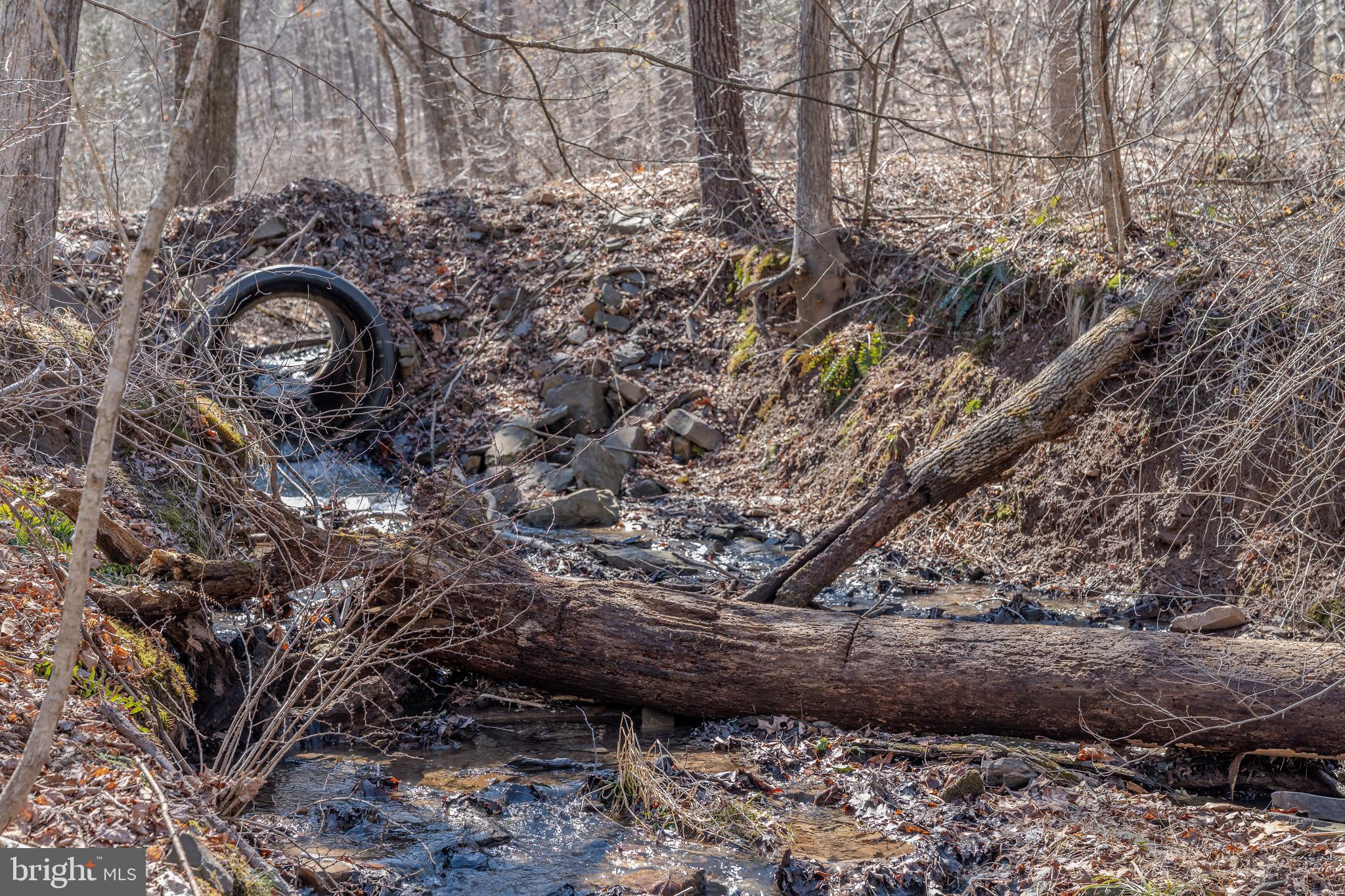 651 Robinson Road Newport, PA 17074 - Photo 76 of 87 a backyard of a house with large trees
