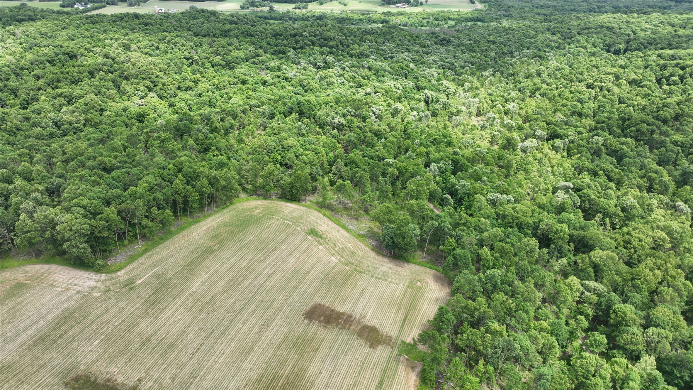 Xx County Rd Q Downing, WI 54734 - Photo 19 of 45
