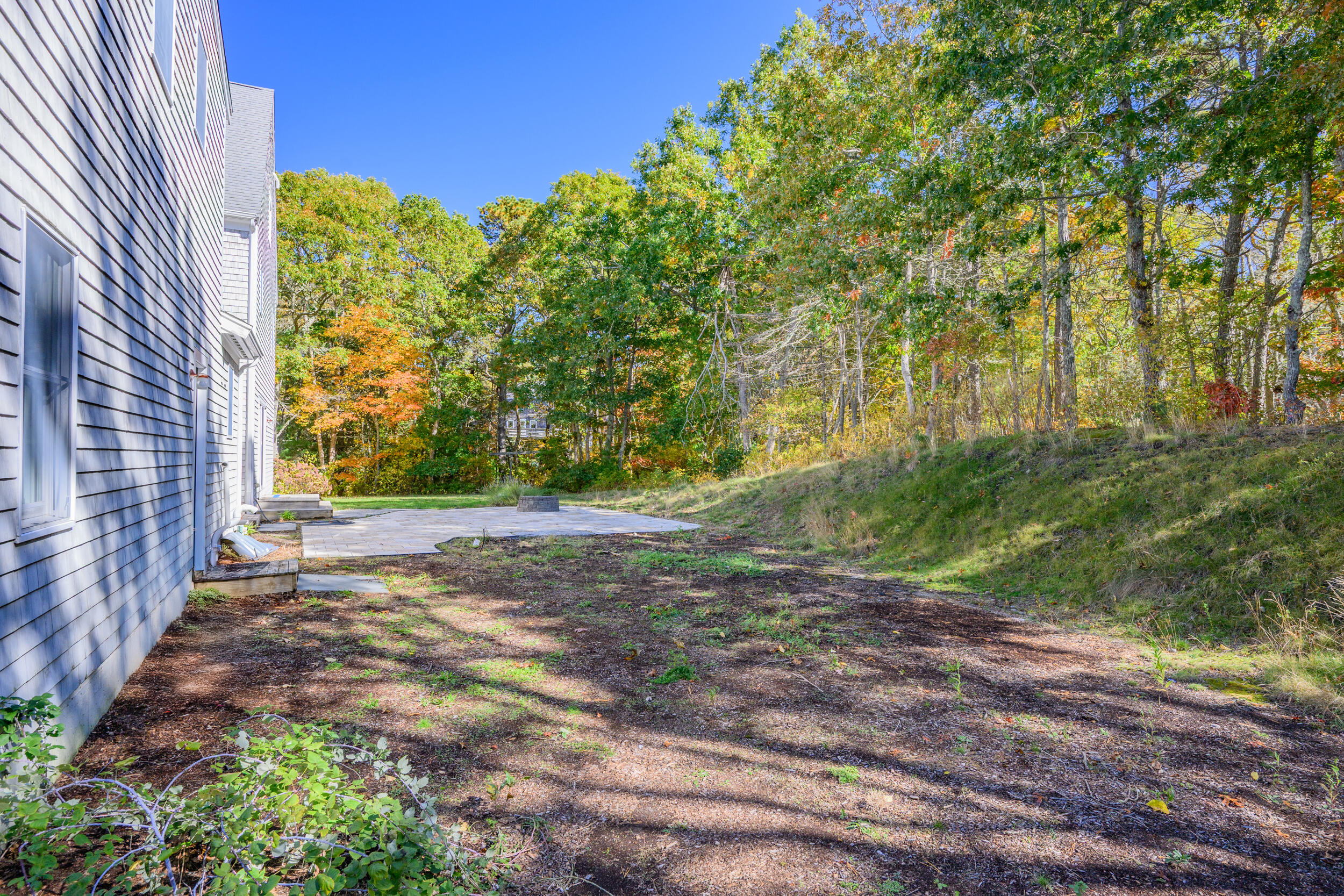 250 The Plains Road West Barnstable, MA 02668 - Photo 36 of 44 a view of a yard with plants and a trees