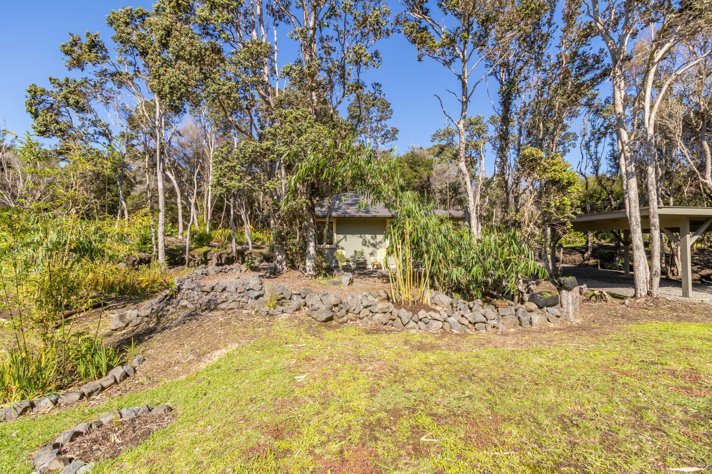99-1845 Pukeawe Circle Volcano, HI 96785 - Photo 18 of 26 a view of a backyard with large trees