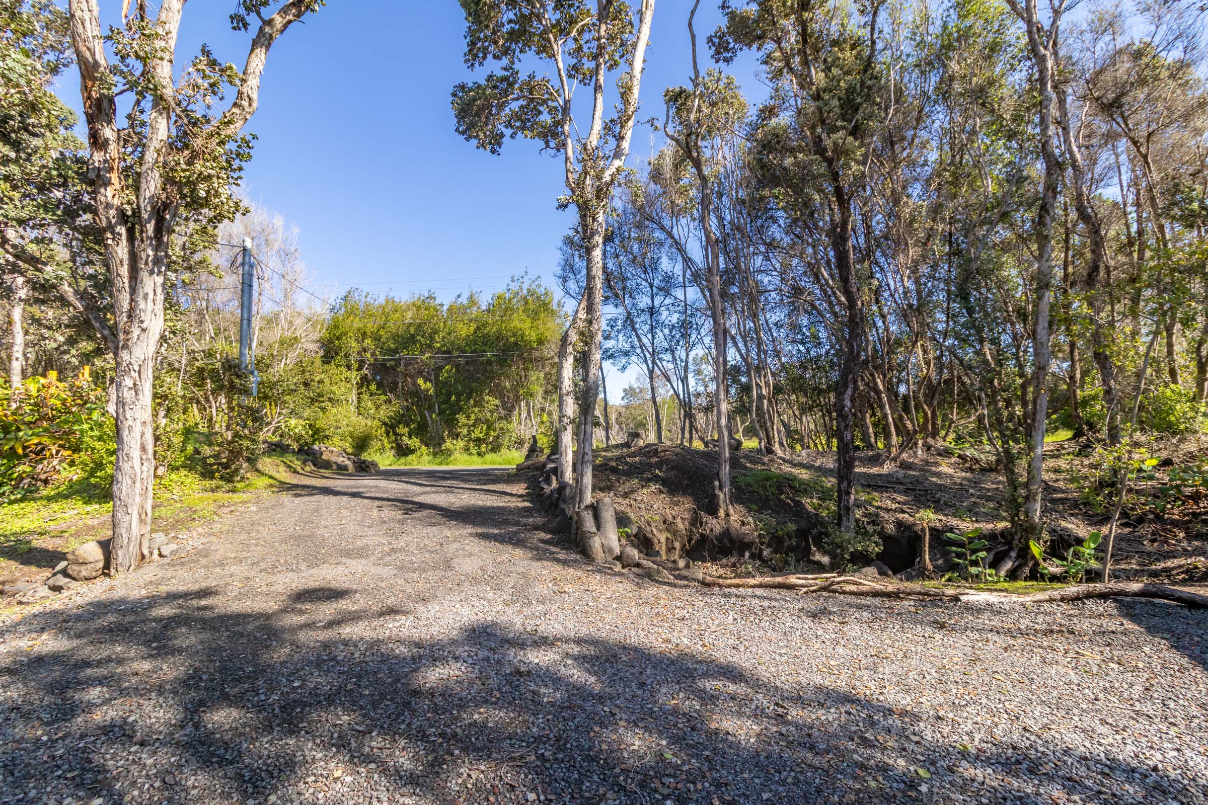 99-1845 Pukeawe Circle Volcano, HI 96785 - Photo 23 of 26 a view of a yard with trees on both side of it