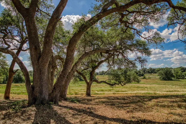 $499,000 | Tbd Bauer Road, Fayetteville, TX 78940
