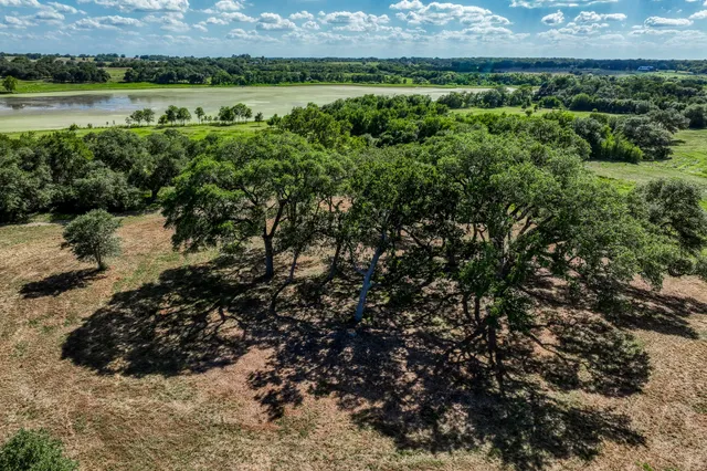 a view of a lush green field