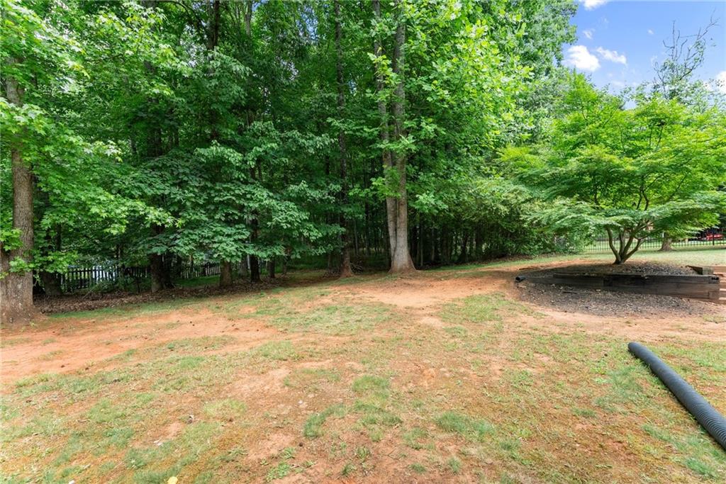 6643 Windvane Point Clermont, GA 30527 - Photo 65 of 88 a view of backyard with green space