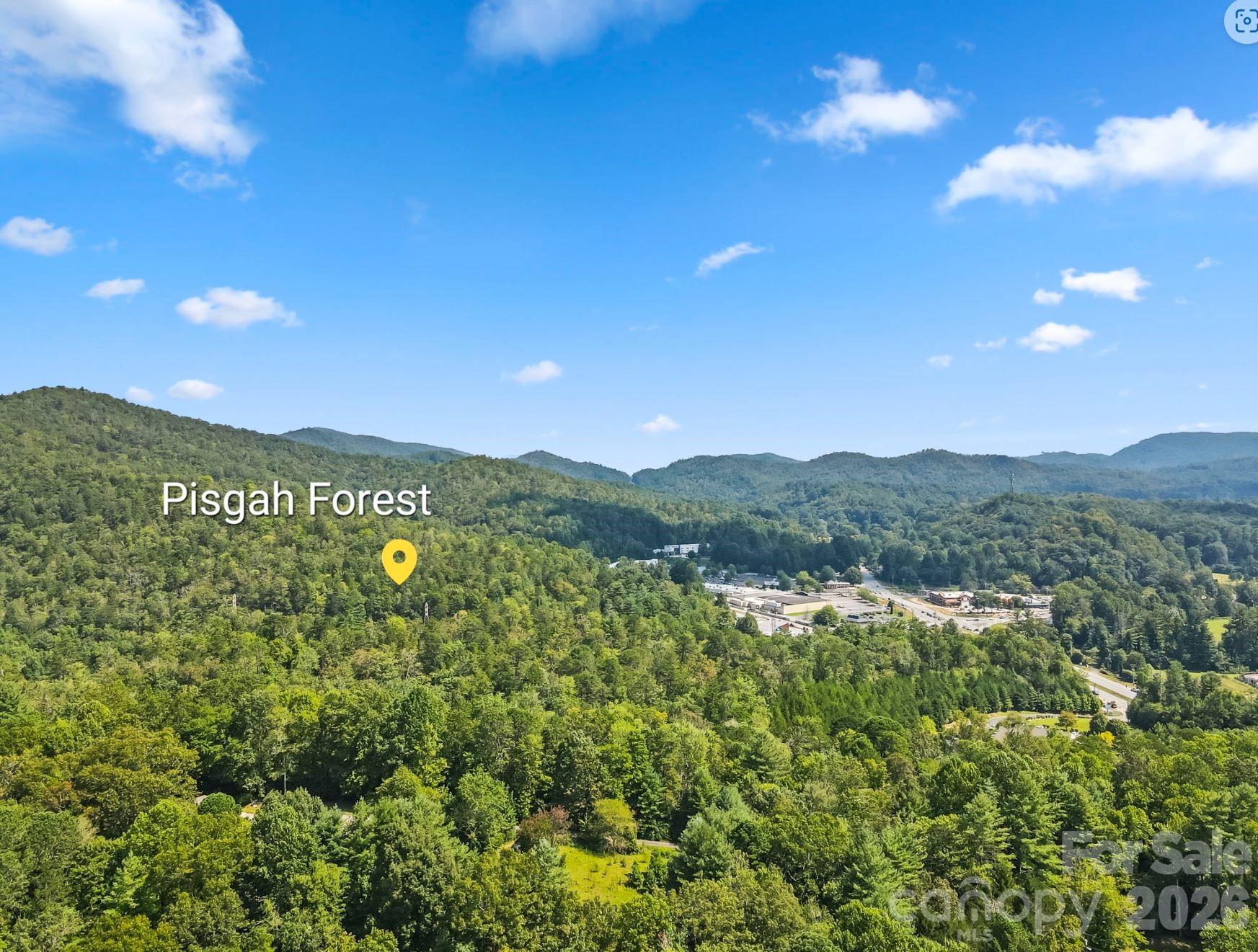 71 Laurel Mountain Road Brevard, NC 28712 - Photo 2 of 44
