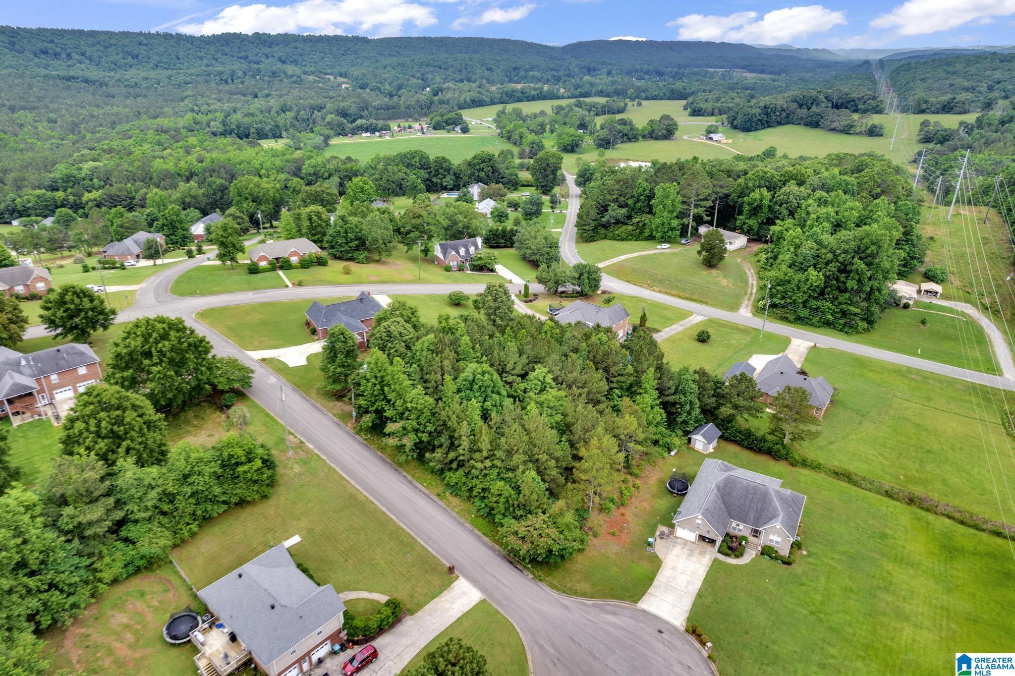 0 Valley View Lane, Unit 1 Oneonta, AL 35121 - Photo 13 of 13
