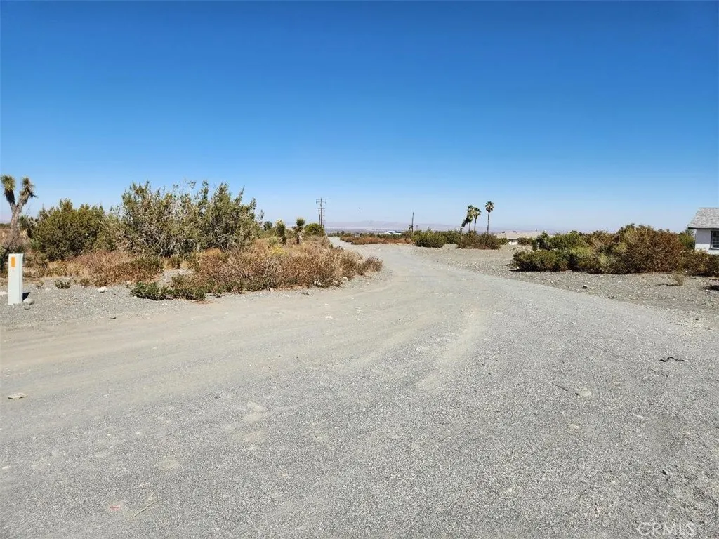 12 Cambria Road Pinon Hills, CA 92372 - Photo 3 of 12 a view of a dry yard and trees
