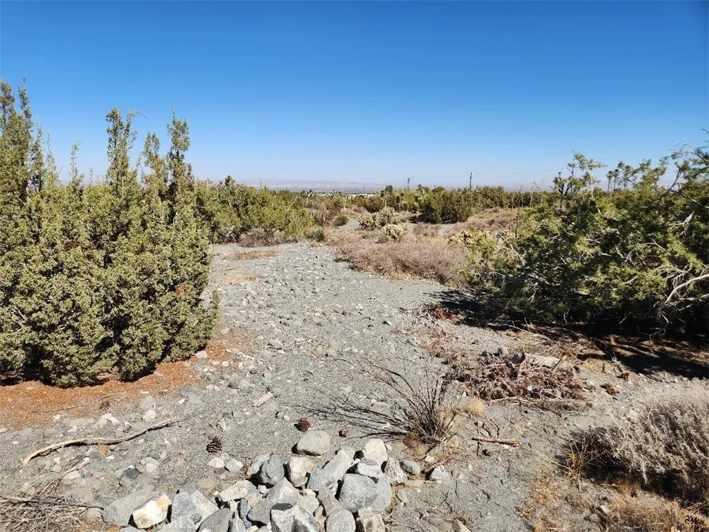 12 Cambria Road Pinon Hills, CA 92372 - Photo 10 of 12 a view of a yard with mountain view