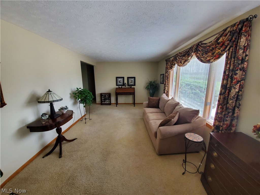 9089 West Smith Road Litchfield, OH 44253 - Photo 12 of 32 Gallery Image 12