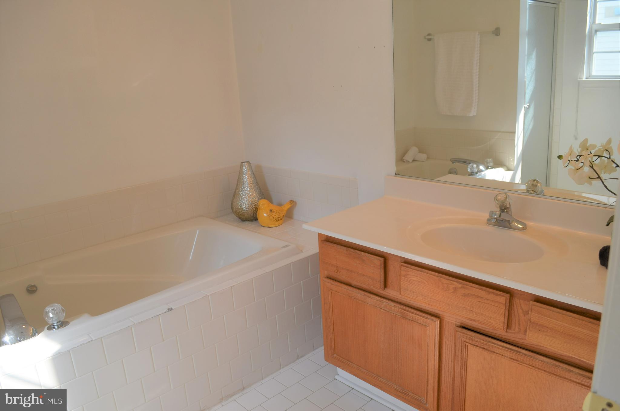 6505 Springwater Court, Unit 7403 Frederick, MD 21701 - Photo 16 of 39 Master bath