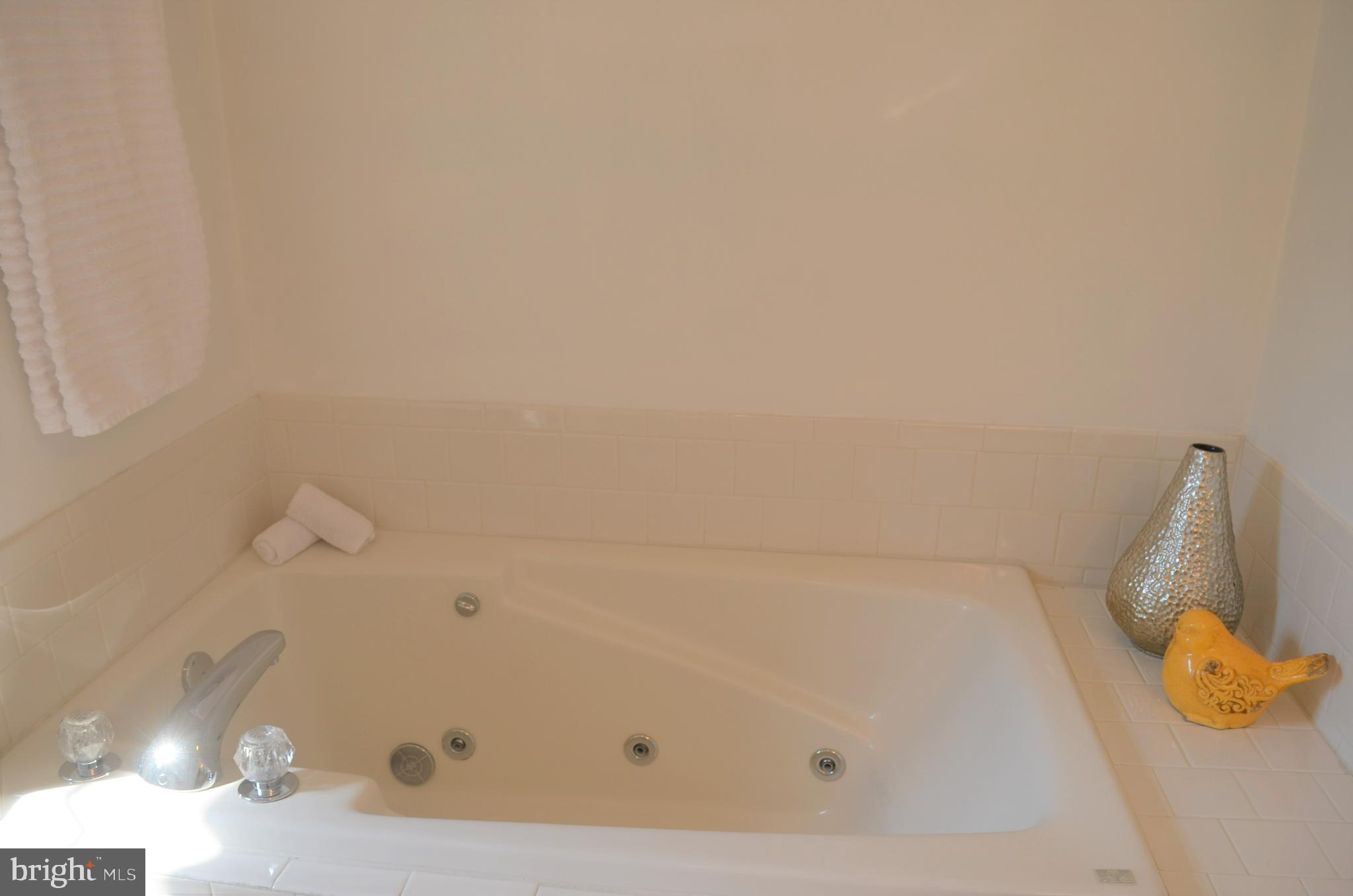 6505 Springwater Court, Unit 7403 Frederick, MD 21701 - Photo 17 of 39 Jetted soaking tub