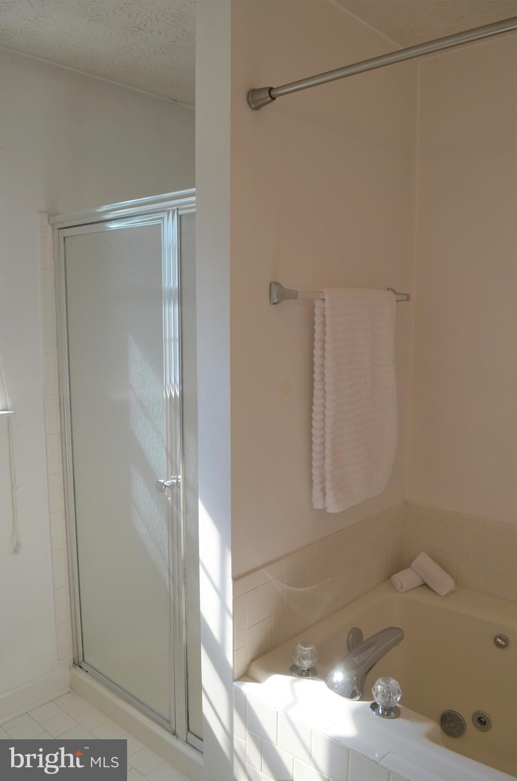 6505 Springwater Court, Unit 7403 Frederick, MD 21701 - Photo 18 of 39 Master bath with full shower and soaking tub