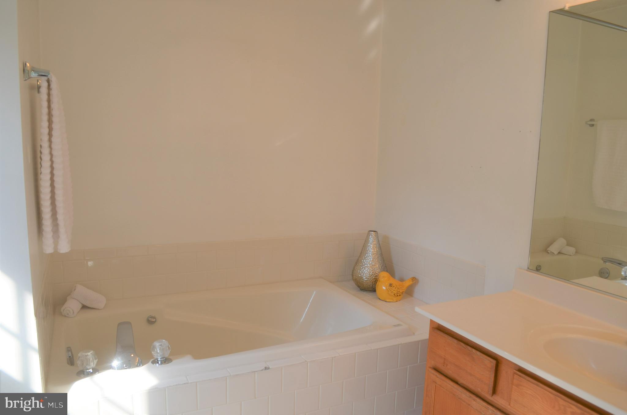 6505 Springwater Court, Unit 7403 Frederick, MD 21701 - Photo 19 of 39 Master bath