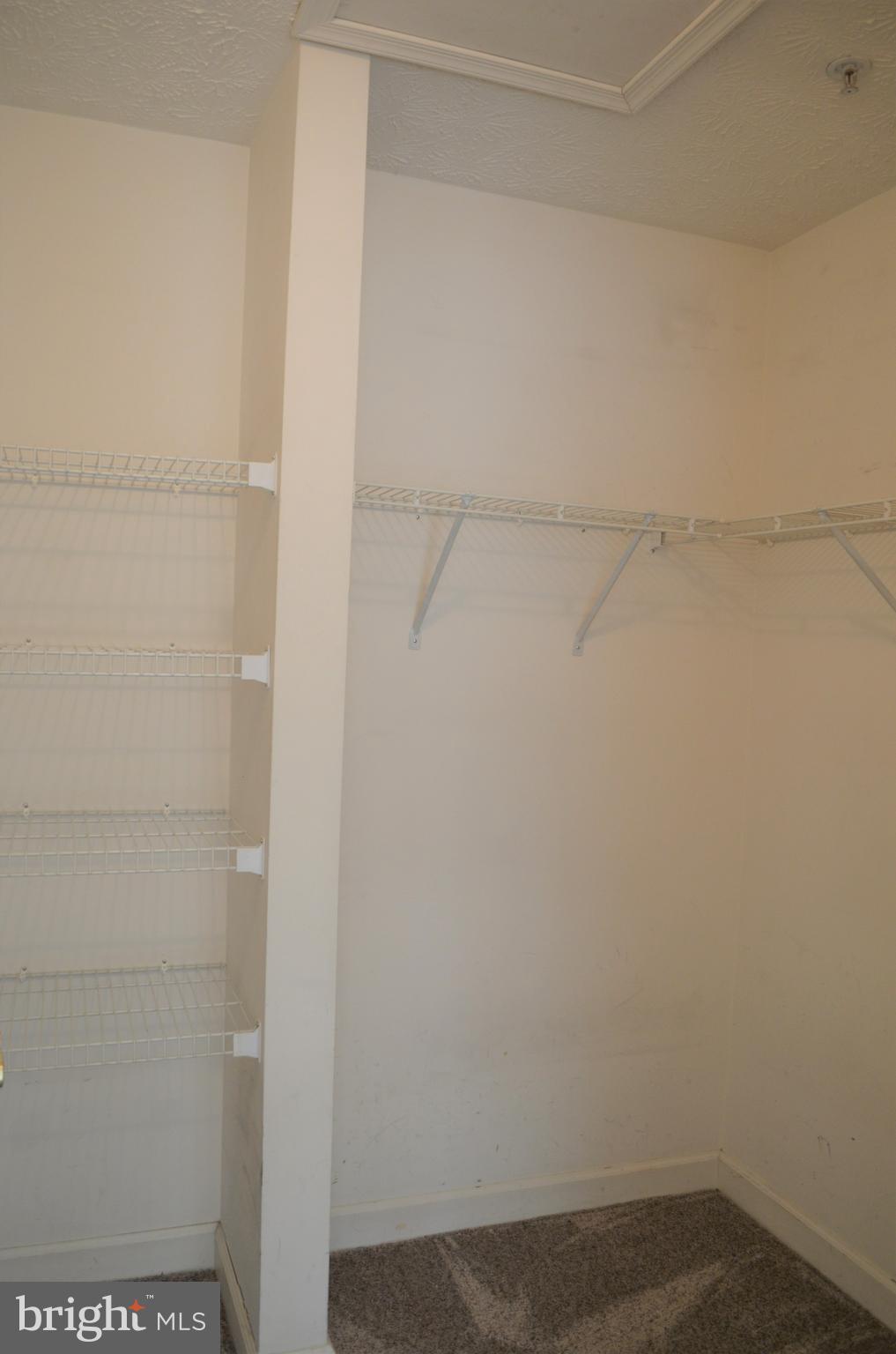6505 Springwater Court, Unit 7403 Frederick, MD 21701 - Photo 20 of 39 Large walk-in Master closet