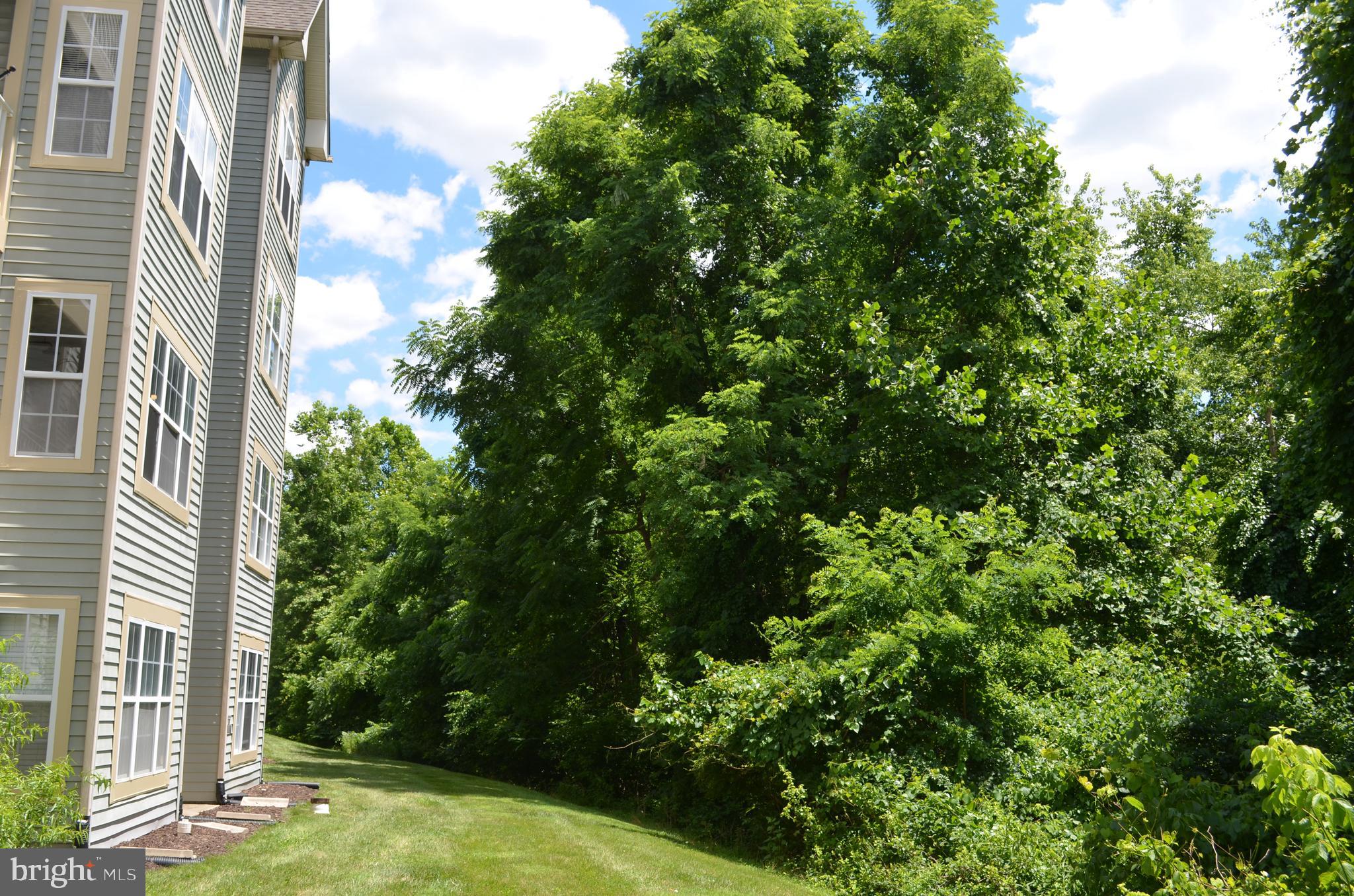 6505 Springwater Court, Unit 7403 Frederick, MD 21701 - Photo 21 of 39 Rear of building