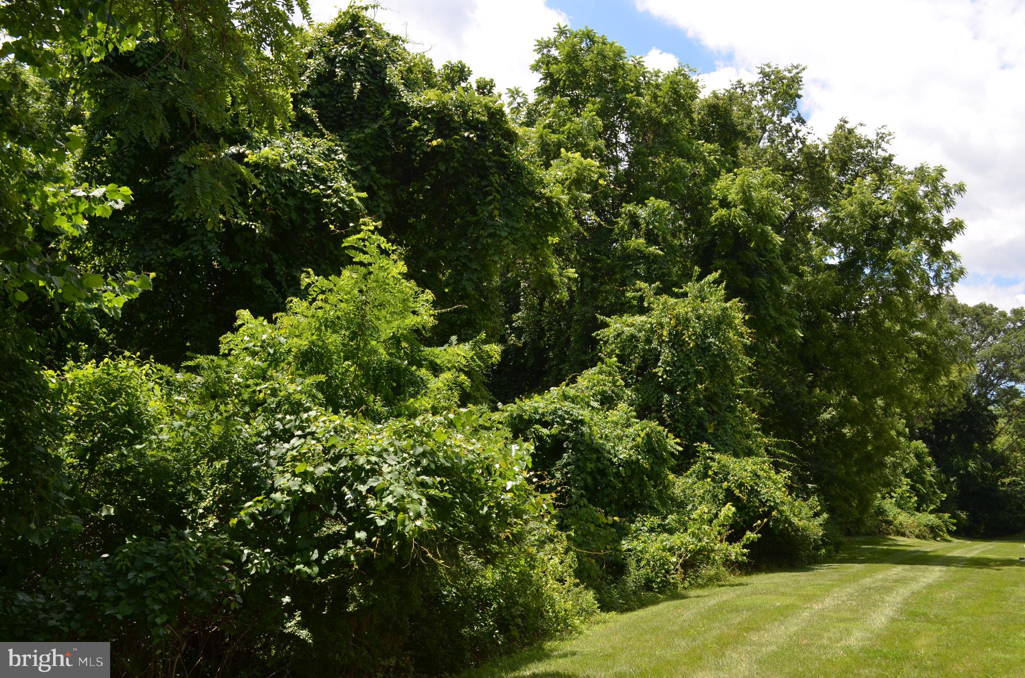 6505 Springwater Court, Unit 7403 Frederick, MD 21701 - Photo 27 of 39 View from your balcony!