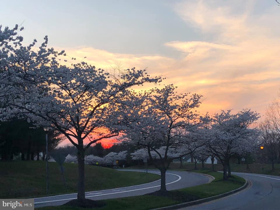 6505 Springwater Court, Unit 7403 Frederick, MD 21701 - Photo 35 of 39 Spring Ridge is beautiful!
