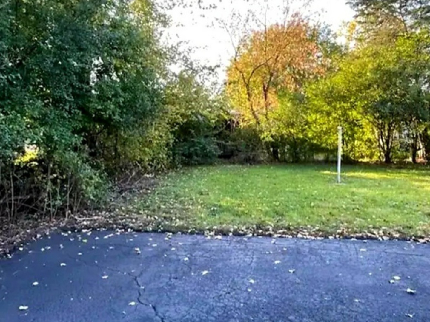 3009 Olive Road Homewood, IL 60430 - Photo 20 of 23 a view of a green field with trees in the background