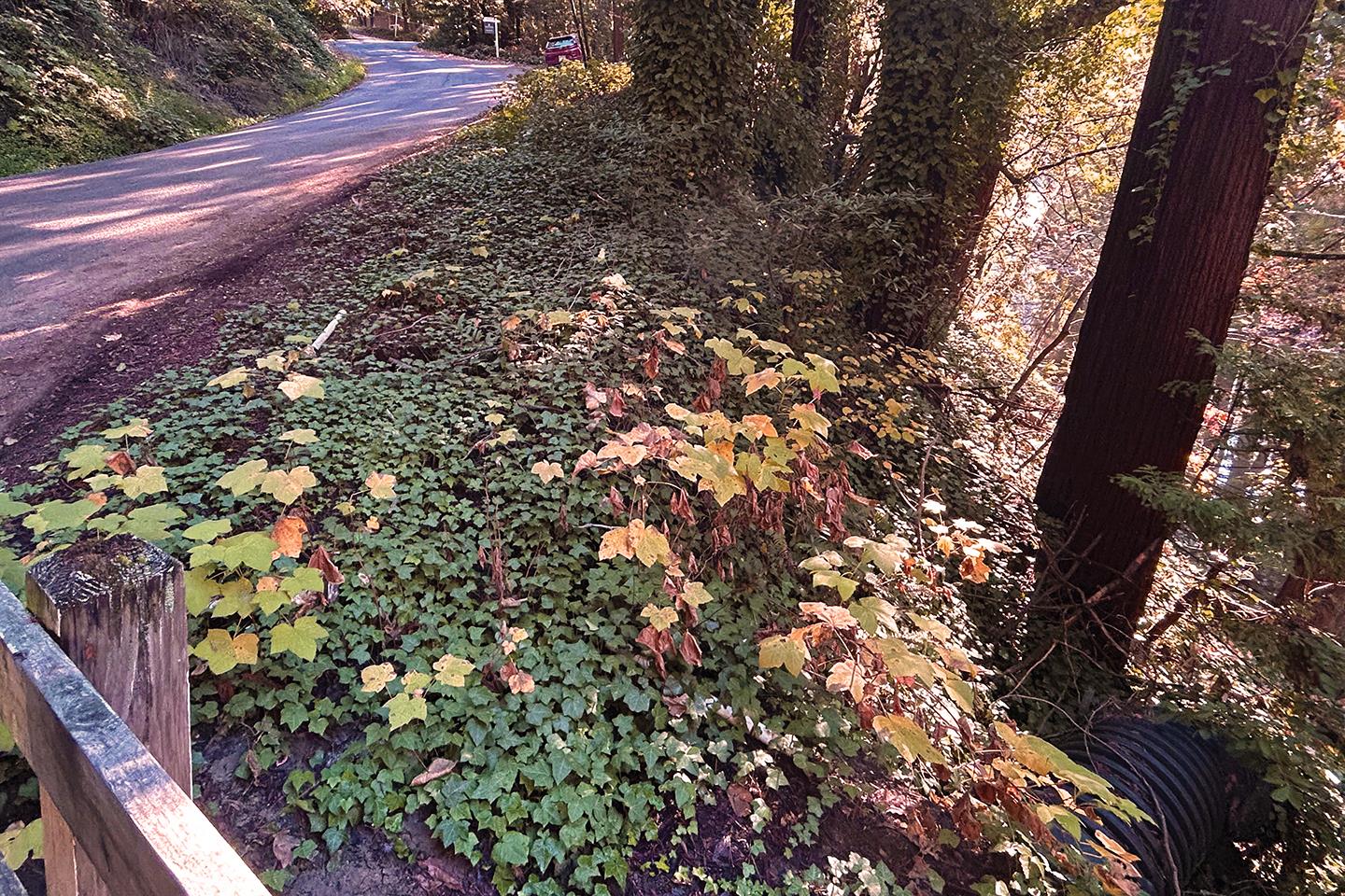 0 Riverside Road Ben Lomond, CA 95007 - Photo 3 of 4