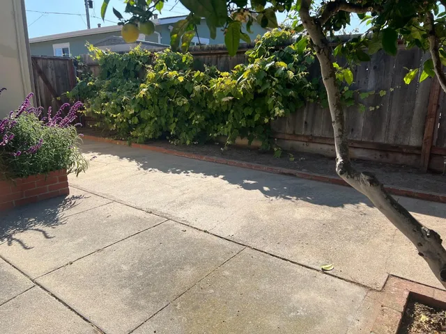 a view of a pathway with a yard