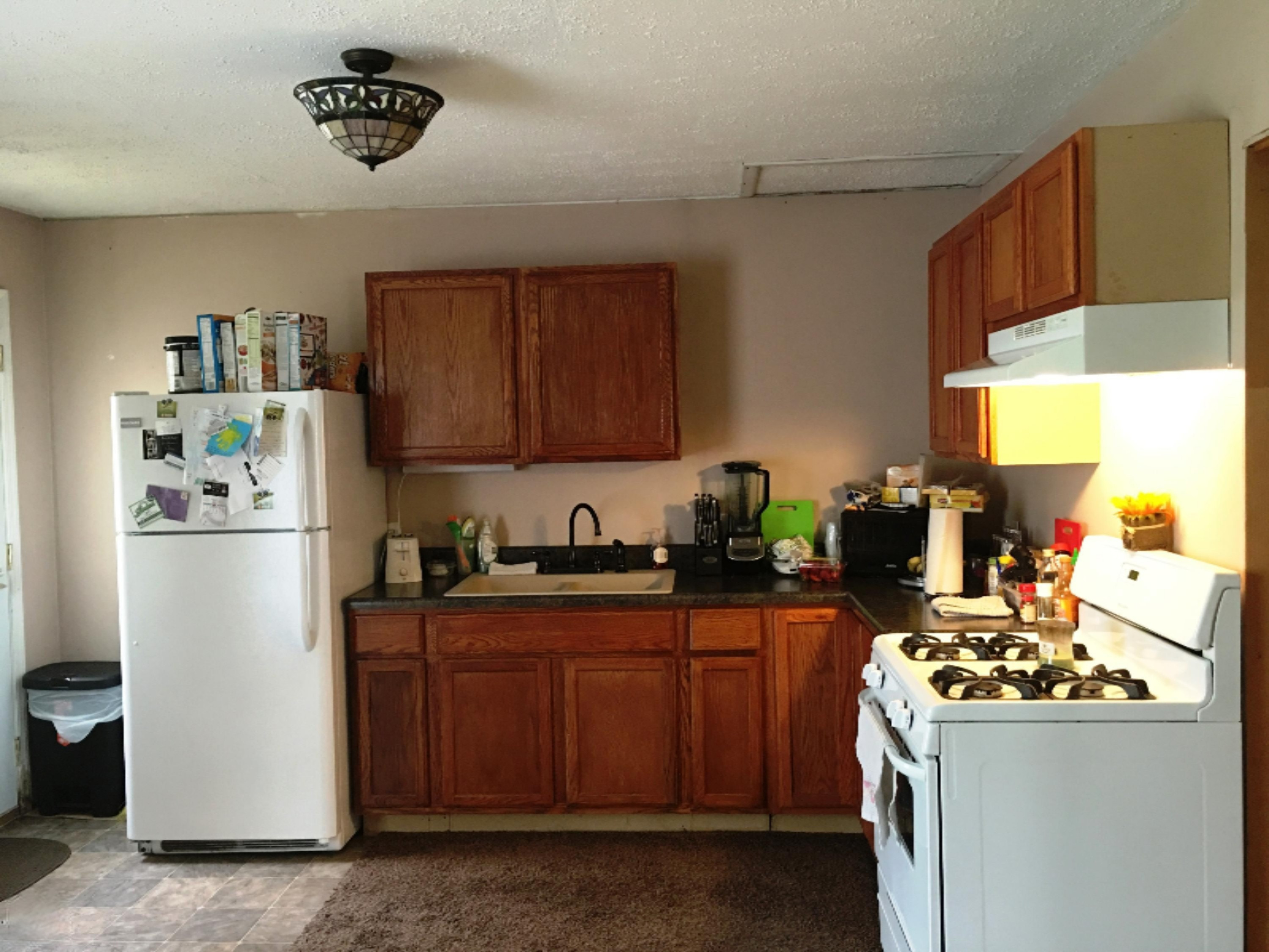 21392 West 6 Mile Road Reed City, MI 49677 - Photo 20 of 23 IMG_4218