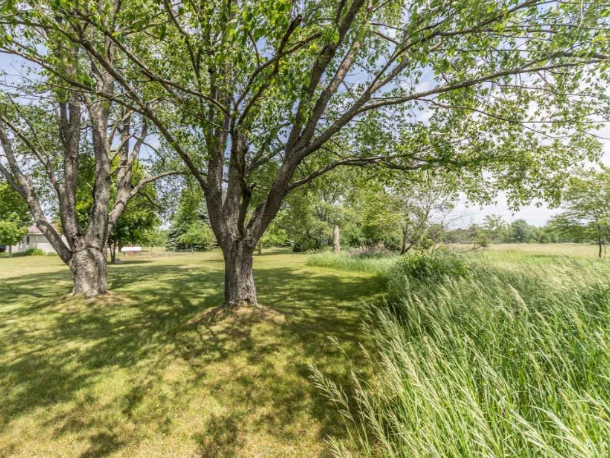 21392 West 6 Mile Road Reed City, MI 49677 - Photo 10 of 23 yard