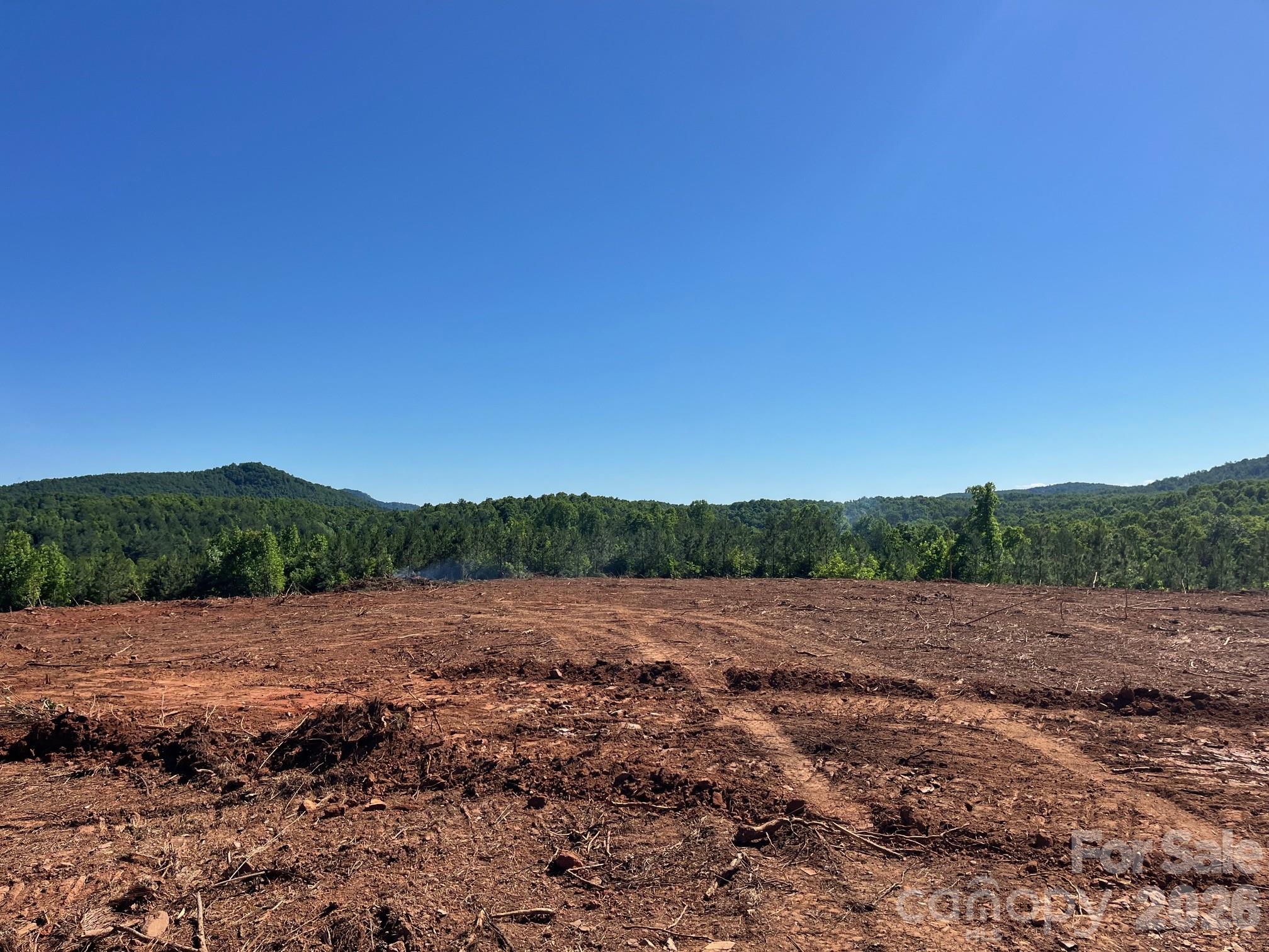 Tbd Vein Mountain Road, Unit 20 Nebo, NC 28761 - Photo 13 of 17