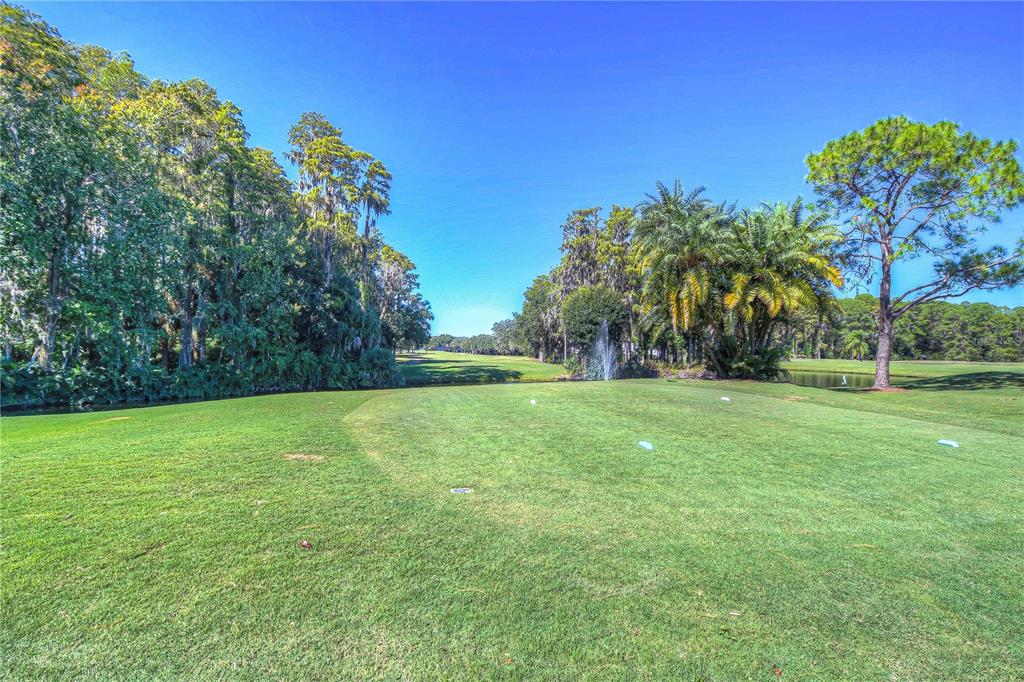 9344 Links Lane, Unit 9344 New Port Richey, FL 34655 - Photo 54 of 65