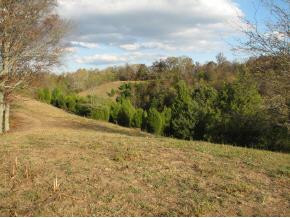 3200 Little Chuckey Road Mosheim, TN 37818 - Photo 1 of 9 Photo 1