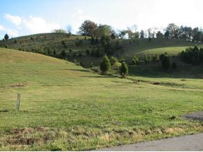 3200 Little Chuckey Road Mosheim, TN 37818 - Photo 9 of 9 Photo 9