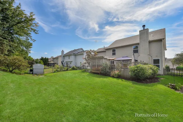 a view of large trees and a big yard