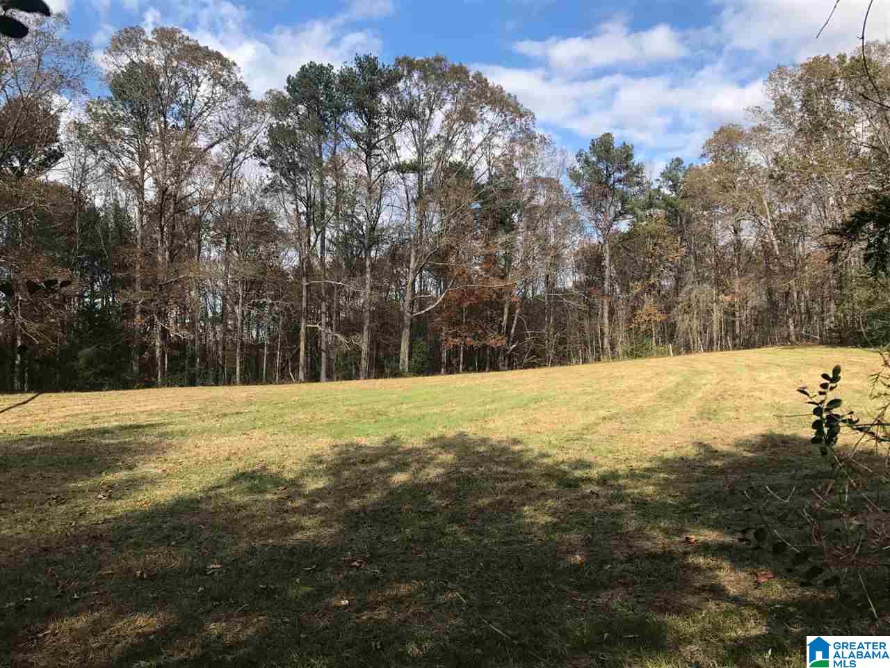 3415 Logan Martin Dam Road, Unit 48 / ACRES Vincent, AL 35178 - Photo 13 of 32