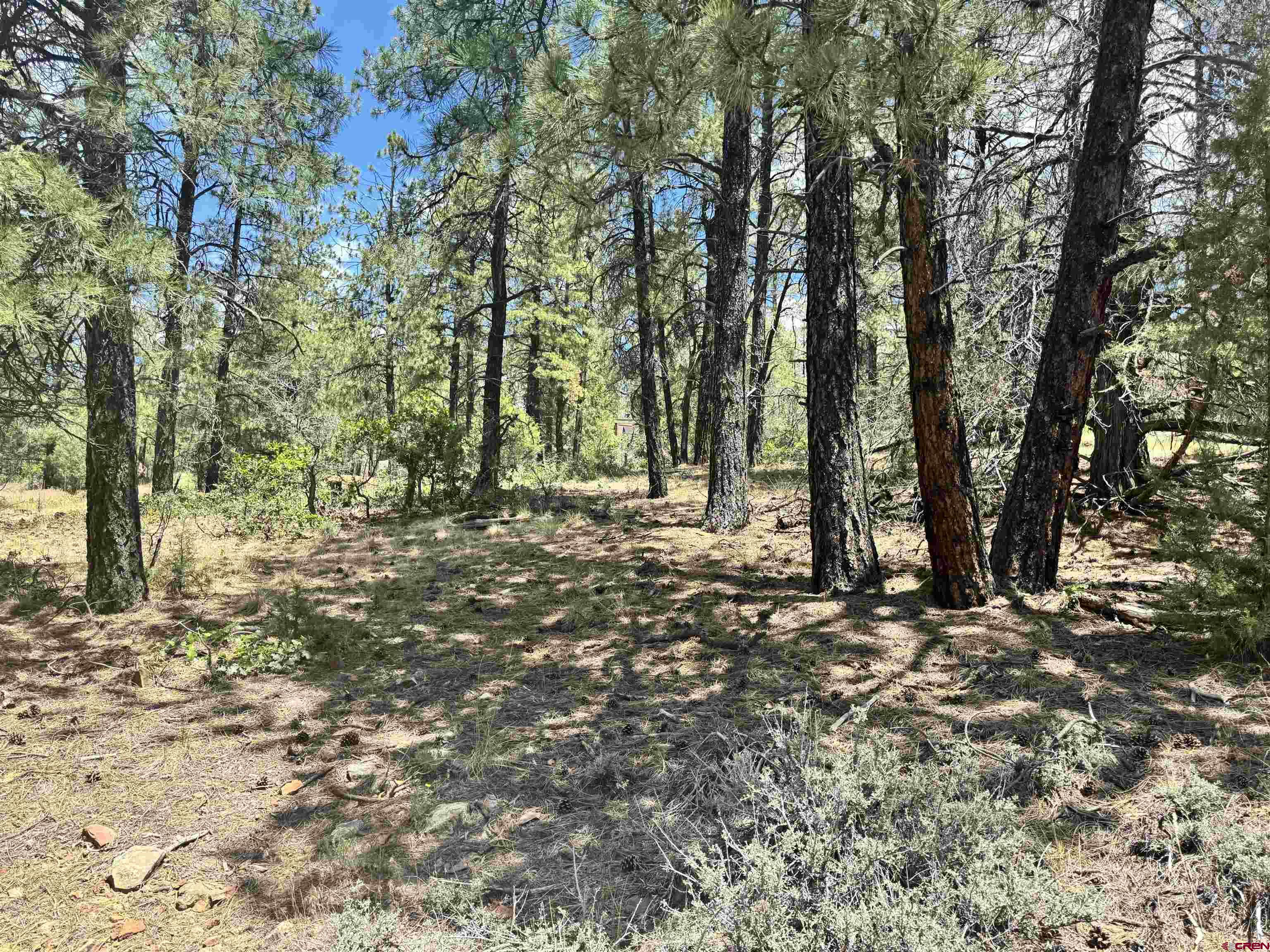 1259 Westview Road Pagosa Springs, CO 81147 - Photo 25 of 29