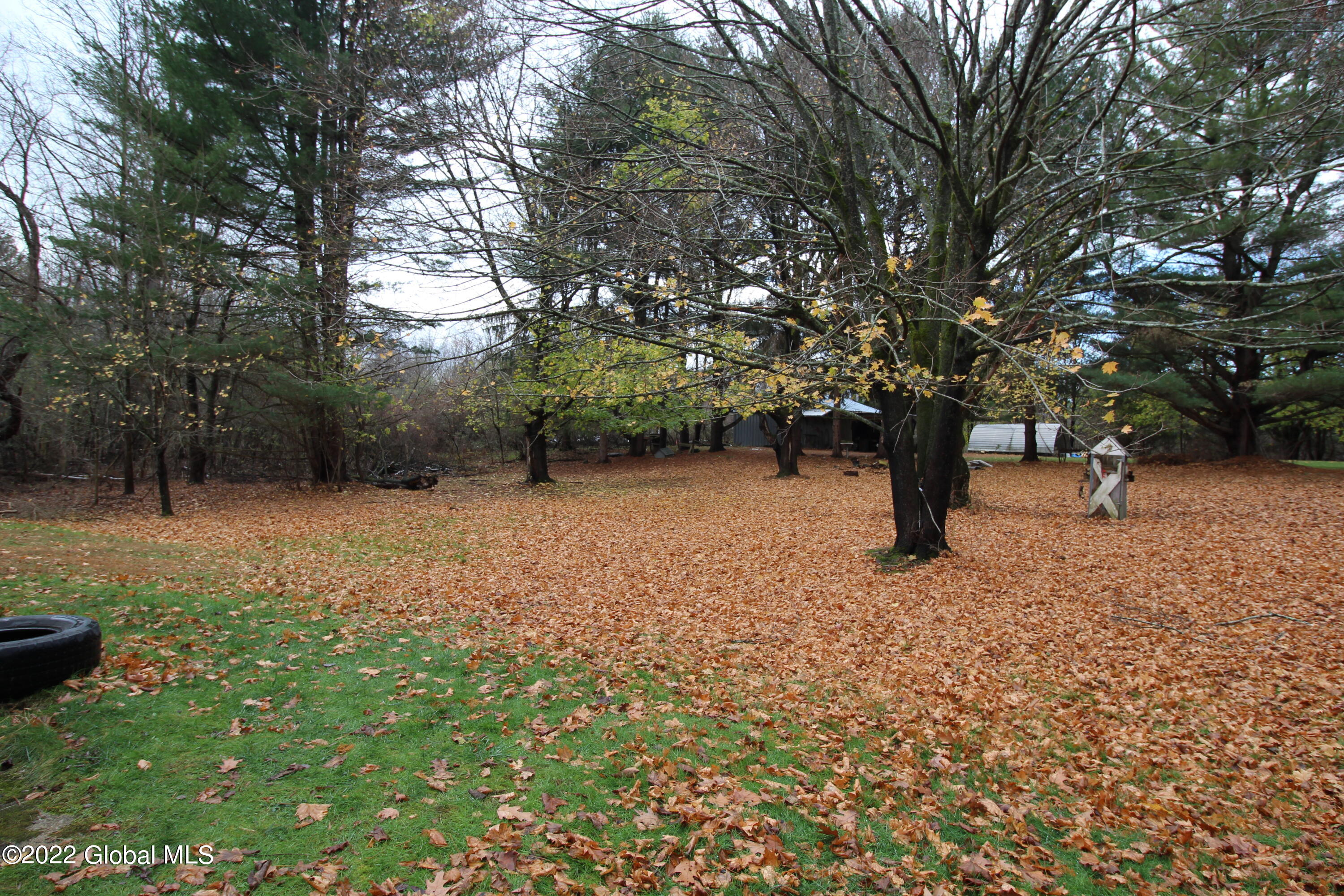 135 Geiser Road North Greenbush, NY 12198 - Photo 3 of 19 IMG_9785