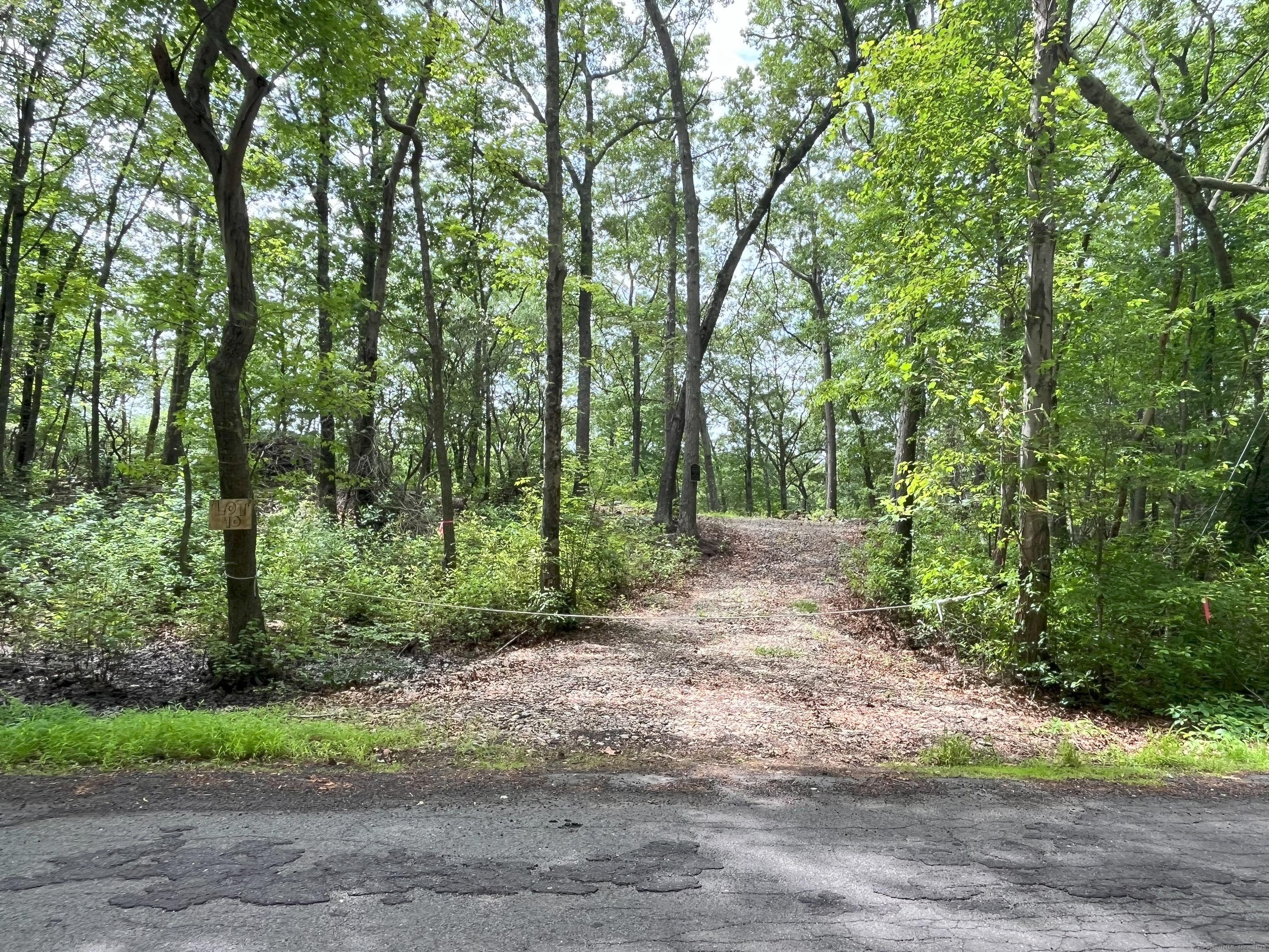 40-42 Old Cart Road Haddam, CT 06438 - Photo 1 of 1 Lot 40 (& Lot 42) - Old Cart Rd., Haddam, CT