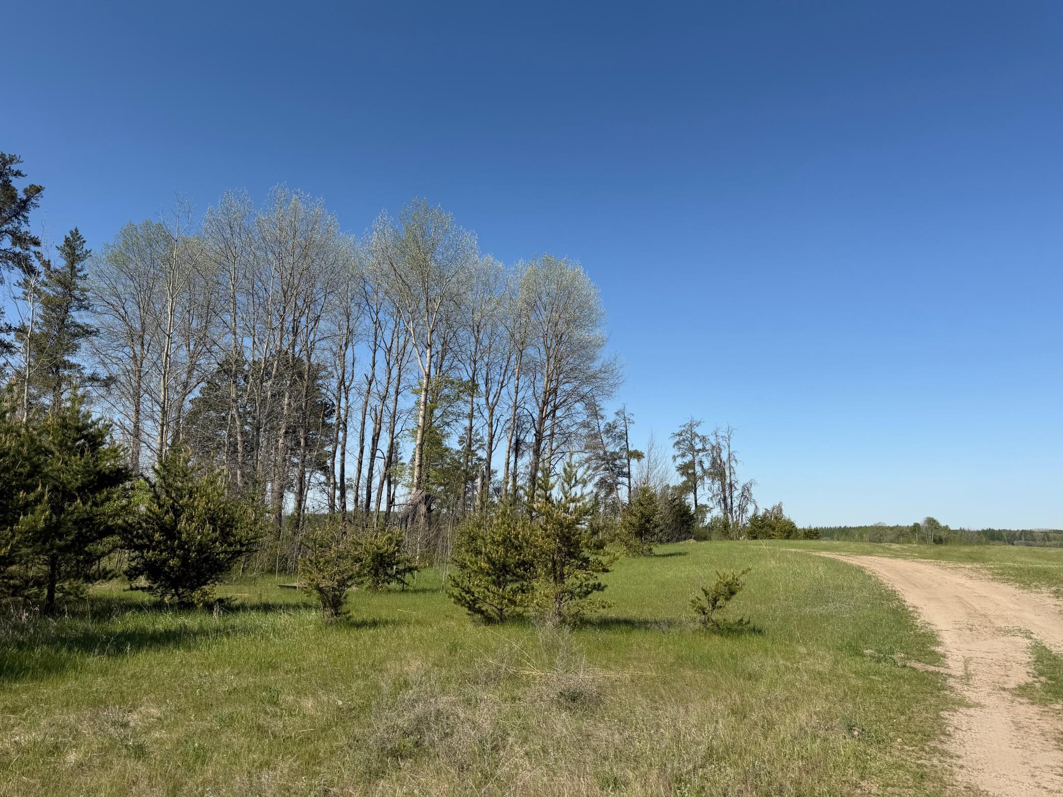 14 Sebeka Mn 56477 Sebeka, MN 56477 - Photo 26 of 79
