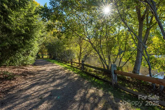 a view of a yard with plants and trees