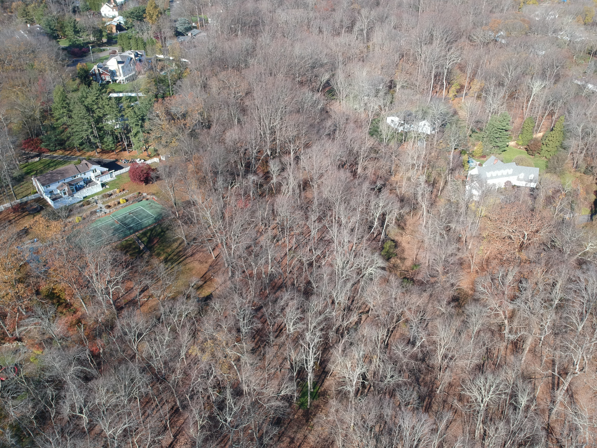 6 Fox Run Lane Westport, CT 06880 - Photo 3 of 6 a close up of a plant in a yard
